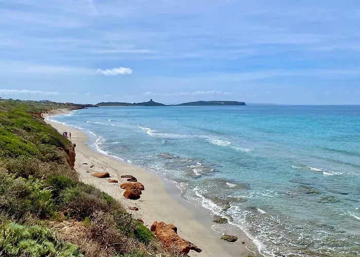 Luigi Сasa de vacaciones *