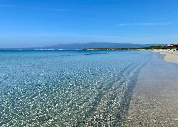 Luigi Сasa de vacaciones *