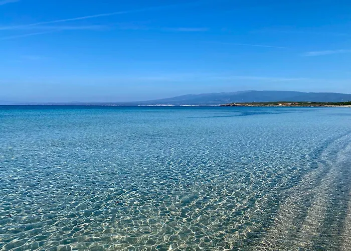 Luigi Сasa de vacaciones *